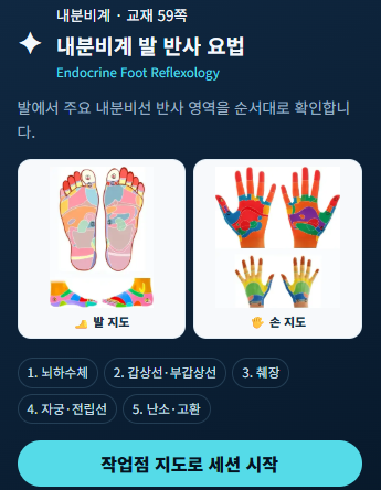 내분비계 손·발 가이드 세션 프로그램 화면