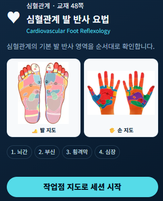 순환계 손·발 반사점 프로그램 화면